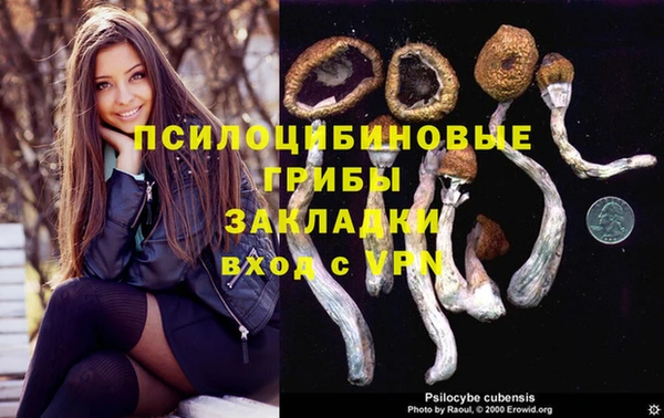 эйфоретик Алексин
